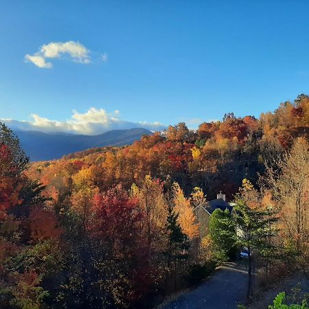 3 Decks, Mtn Views! Tree Tops By Honeybearcabins - Luxury Rain Showers, 3 King Suites, Xl Hottub, Fireplace, Bear Sightings Gatlinburg Eksteriør billede
