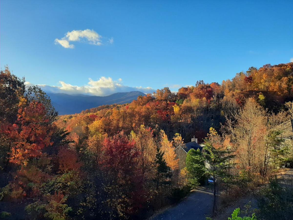 3 Decks, Mtn Views! Tree Tops By Honeybearcabins - Luxury Rain Showers, 3 King Suites, Xl Hottub, Fireplace, Bear Sightings Gatlinburg Eksteriør billede